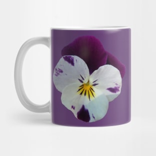 colorful purple pansy, violets, pansies, viola Mug
